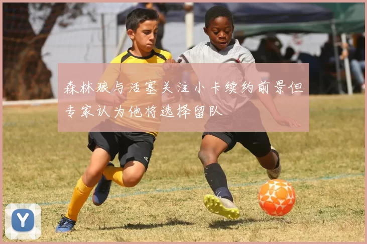 森林狼与活塞关注小卡续约前景但专家认为他将选择留队