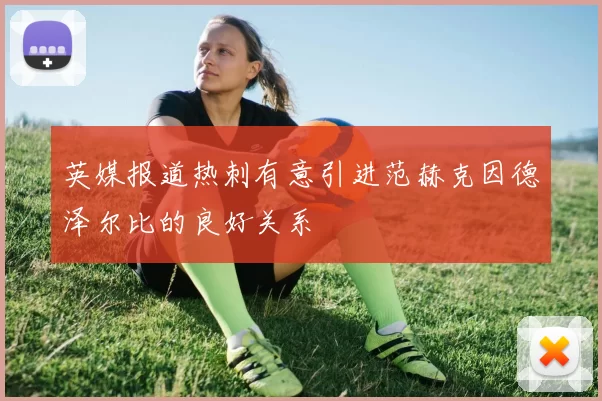 英媒报道热刺有意引进范赫克因德泽尔比的良好关系